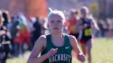 Wachusett's Brenn, Witt and Algonquin's White lead way at D1 XC championships