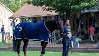 Sierra Leone, Fierceness Breeze Ahead of Jim Dandy