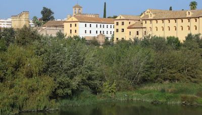 Propuestas verdes para la Córdoba del futuro: "Sería interesante hacer un proyecto de naturalización del río Guadalquivir"