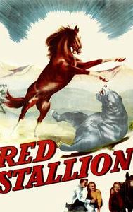 The Red Stallion