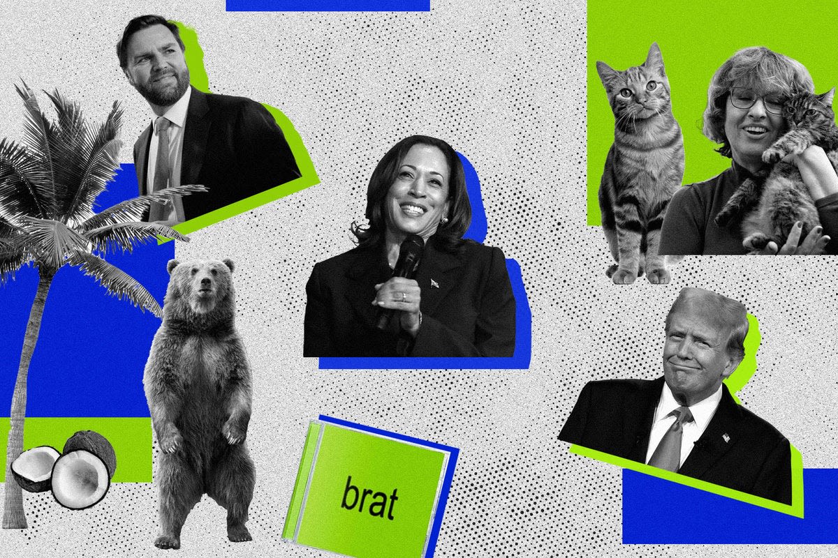 Weird, brat and childless cat ladies: Election buzzwords take the internet by storm