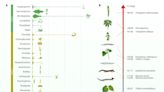 新喀里多尼亞蕨類植物創下「基因組」大小新紀錄