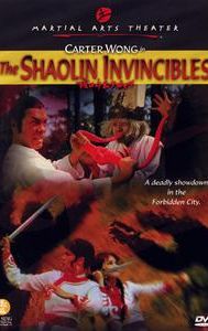 Shaolin Invincibles