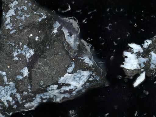 Surprising asteroid sample reveals Bennu may have originated from an ocean world