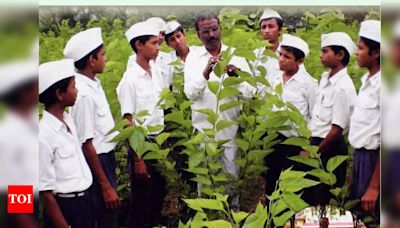 Gandhi Grameen Gurukul Receives Mahatma Gandhi Seva Award for Educational Excellence | Hubballi News - Times of India