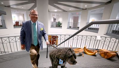 Pictures: Mayor Dyer’s labradoodle Sammie – a fixture at city hall – has died