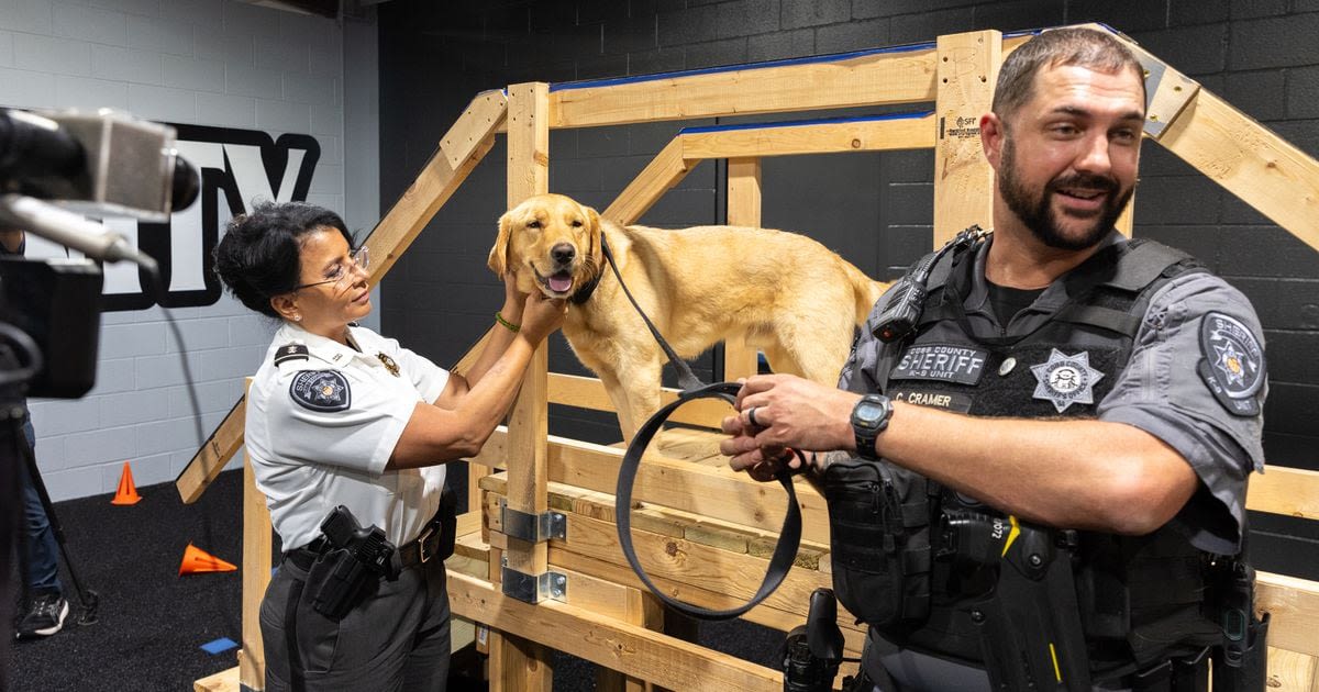 Meet Sherlock, the Cobb K-9 trained to sniff out hidden electronics