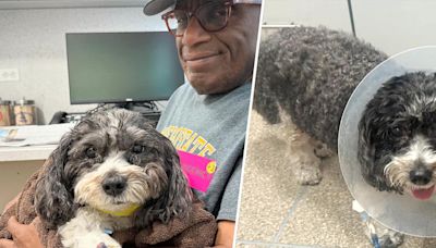 Al Roker reveals his dog Pepper underwent emergency surgery