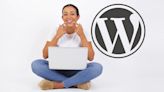 WordPress Releases Way To Build Sites On A Windows Desktop