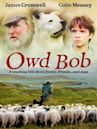 Owd Bob (1998 film)