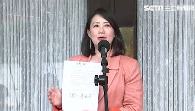 立院憲法訴訟人選出爐！吳思瑤喊「對釋憲案有信心」：願意禮讓藍白