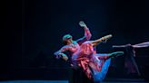 A Streetcar Named Desire: Scottish Ballet’s take on Tennessee Williams is feverishly compelling