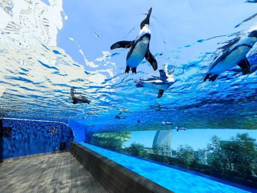 東京必訪三大水族館！水母隧道、特效海豚秀、開放式企鵝區，一定要前來朝聖！