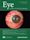 Eye (journal)