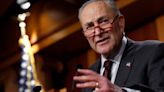 Schumer Vows To Help Confirm Biden’s Pick For FAA Chief After System Debacle