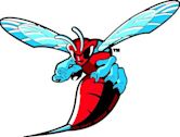 Delaware State Hornets