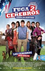 Fuga de cerebros 2