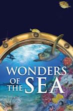Wonders of the Sea 3D