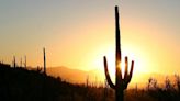 Saguaro National Park offers travelers an iconic slice of the Southwest