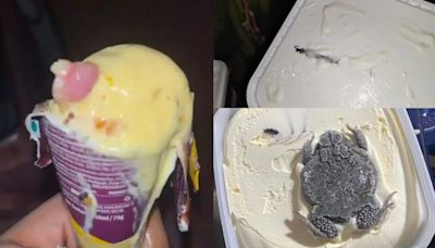 Human finger, centipede and a frog: 5 gross things found in ice cream