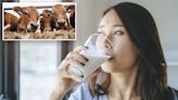 Raw milk’s popularity is heating up — but some health officials warn it can be deadly