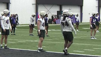 Hear from the Baltimore Ravens' rookies at minicamp