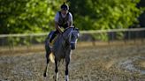 Seize the Grey wins the Preakness for D. Wayne Lukas and ends Mystik Dan’s Triple Crown bid