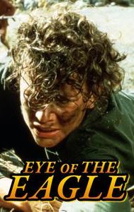 Eye of the Eagle