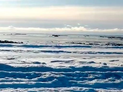 Frío extremo en Tierra del Fuego: las olas del mar se congelaron en el norte de la provincia