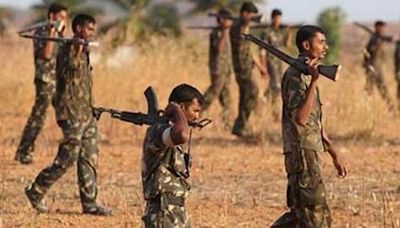 Maharashtra: 12 Maoists Killed After Major Encounter With Police In Gadchiroli; Weapons Recovered