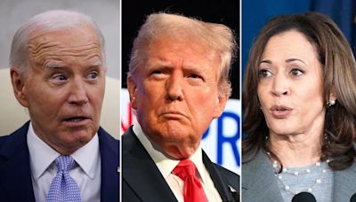 Joe Biden steps down: What UBS says on Kamala Harris, Donald Trump, S&P 500 target