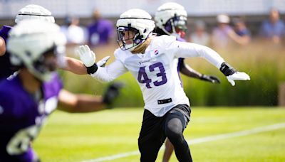 Watch: Vikings' Andrew Van Ginkel snags acrobatic pick-six against Daniel Jones