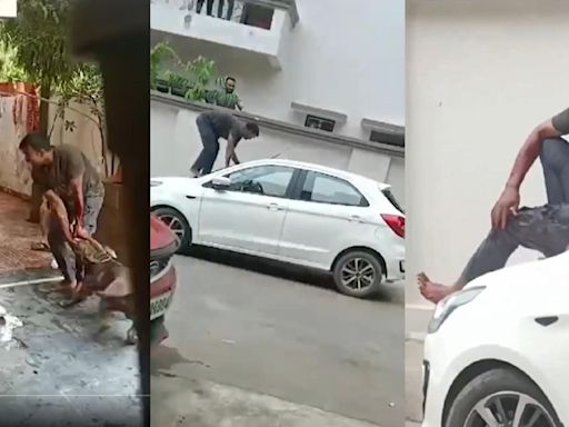 Latest News Today Live Updates July 21, 2024: Pitbull dogs attack delivery man in Chhattisgarh's Raipur, horrifying video goes viral