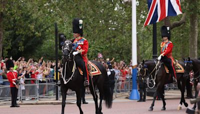 Família Real: Cavalos fogem do Palácio de Buckingham e deixam feridos - OFuxico