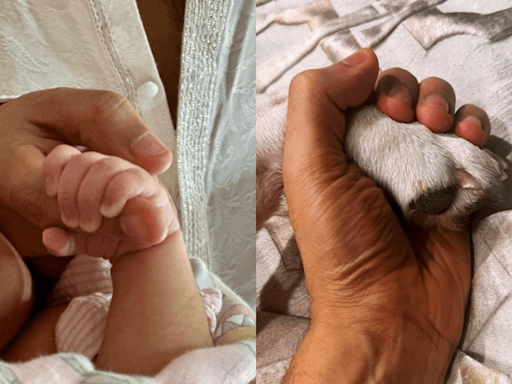 Varun Dhawan shares first glimpse of daughter on Father's Day, Parineeti Chopra says "You've grown up"