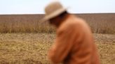 Argentina soy farmers wait on rising prices to sell rain-drenched crop