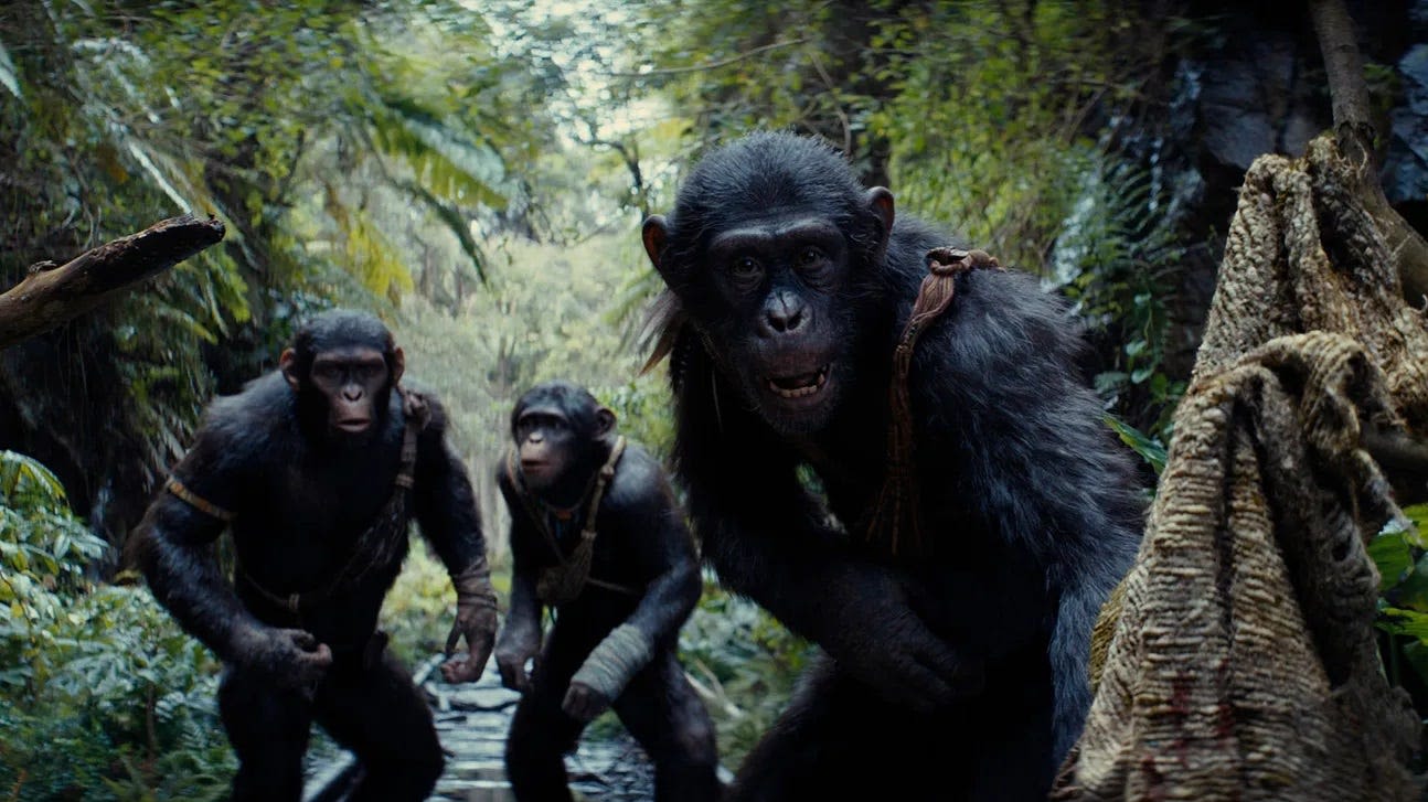 'Kingdom of the Planet of the Apes' review: Old franchise, new tricks