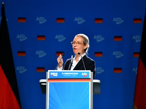 Clashes erupt as far-right AfD states aim to govern Germany