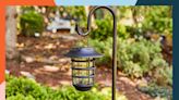 The 7 Best Outdoor Solar Lights of 2024, Tested and Reviewed