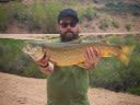 Idaho Angler Lands Record Breaking Tiger Trout