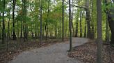 Carpenter Lake Nature Preserve expected to open next month after renovations