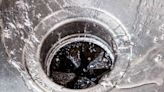 6 Foods You Should Never Put Down Your Garbage Disposal, According To Plumbing Experts