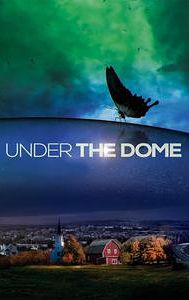 Under the Dome