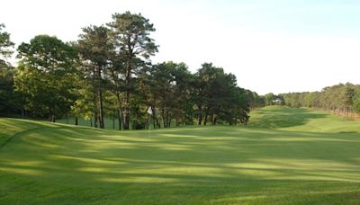 Cape & Islands high school girls golf awards announced. Who made the all-star team?