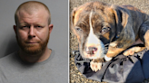 Butler County man convicted and sentenced for abandoning puppy in sack