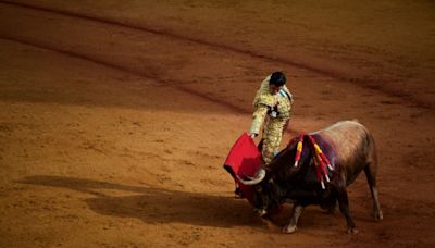 Spain scraps national bullfighting prize sparking debate