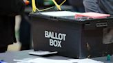 Politics has gone to hell in a handcart, so it’s time for a new voting system - Alex Kane