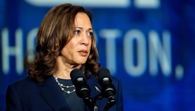 Harris’ economic stance in spotlight as jobs data stirs concerns