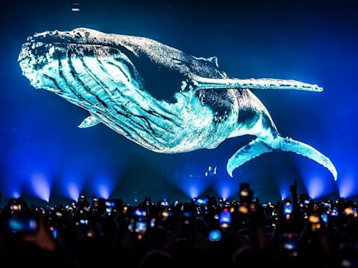 Eric Prydz llega a Chile con HOLO, un espectáculo de hologramas 3D gigantes - La Tercera