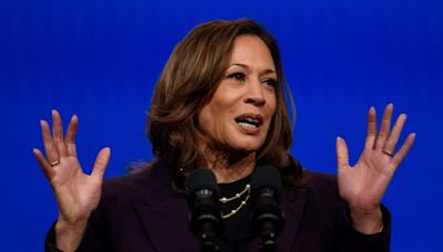 Kamala Harris Offers Swing State Clue to Veepstakes Winner